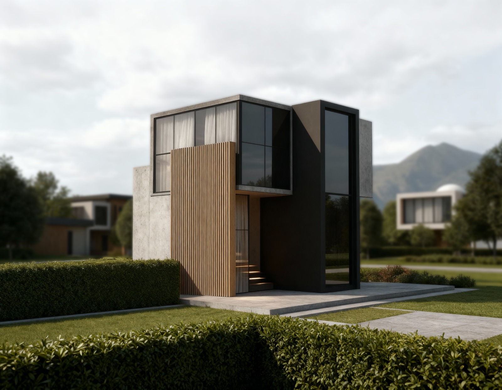 DETACHED HOUSE - work12